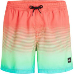 O'Neill Jack Cali Gradient 15'' Swim Shorts M 92800613575 / S