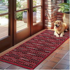 Biscpro Doormat Dirt Trapper Mat iekštelpu neslīdošs mazgājams durvju paklājs paklājs grīdas paklājs ieejas zonai, priekšdurvīm, terasei, gaitenim, dārzam, verandai, 50 x 120 cm