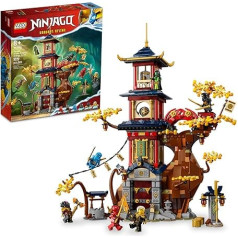 LEGO Ninjago pūķu tempļa enerģijas serdeņi 71795, konstruktors ar Ninjago templi un 6 minifigūriņām, tostarp Cole, Kai un NYA, dāvana bērniem no 8 gadu vecuma, konstruējama