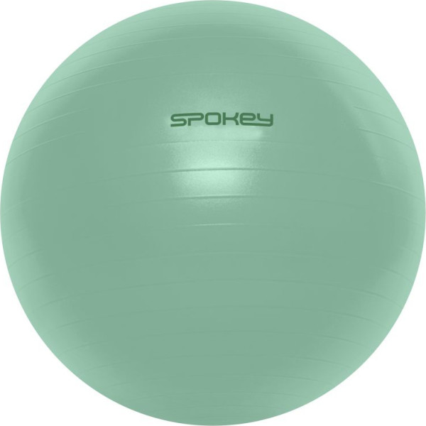 Fitball 55cm SPK-943624 / 55 CM