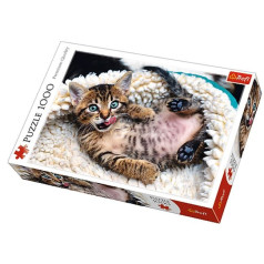 Puzzle 1000 pieces cheerful kitten