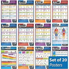 Fitness Posters for Muscle Building, Body Conditioning & Exercise Equipment - Set of 20 Training Charts | Laminated Exercise Posters | Size - 841mm x 594mm (A1) | Video Tutorials | Improves Your
