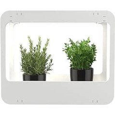 Romberg 16294399 mini garden with LED light, white, 50.5 x 21 x 40 cm.