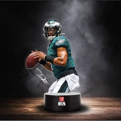 Lielisks zīmols Philadelphia Eagles NFLPA LED lampas gaismas logotips sāp**, mainās režīms ar 2 dažādām krāsām