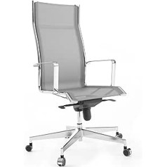 Ergonomisks biroja krēsls Bossberg BB70, roku darbs Itālijā, regulējams, grozāms ar riteņiem, tērauda rāmis, jostasvietas atbalsts (nerūsējošais tērauds, hroms/pelēks)