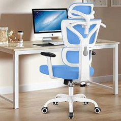Biuro kėdė „Winrise“, ergonomiška stalo kėdė su dideliais atlošais, patogi žaidimų kėdė, namų biuro kėdė, juosmens atrama, reguliuojama galvos atrama ir porankiai, kompiuterio kėdė