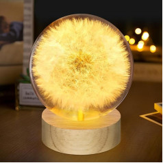 TUZELIYA Flower Crystal Ball Night Light, 7 cm stikla lodveida nakts lampa ar USB koka pamatni, īsts pienene stiklā, vēlmju pildītājs, dāvana dzimšanas dienā, kāzās, Mātes dienā, vīriešiem (pienene)