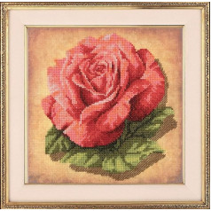 Riolis The Rose Cross Stitch Kit, Cotton, multicoloured, 20 x 20 x 0.1 cm