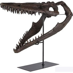 SY-Home Flat Purple Dragon Skull Fossil Statue, Skull Fossil Skeleton Model Simulation Fossil Mācību rekvizīti un amatniecība