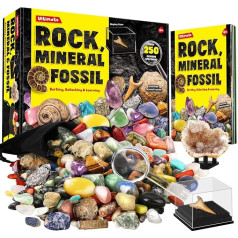 Dr. Daz Rock Fossil Mineral Collection aktivitāšu komplekts satur 250+ īstus paraugus, lielisks vitrīna, fosilijas, dārgakmeņi, ieži, akmeņi, īstie minerāli bērniem, lieliska zinātniska dāvana bērniem