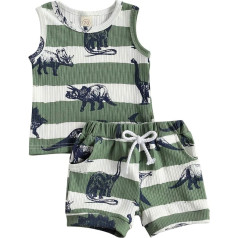 Lerrita Baby Boys vasaras apģērbu komplekts 2 gab. vasaras apģērbu komplekts bez piedurknēm Top Vest + šorti Soft Summer Cartoon Dinosaur Short Set 0-24 Months