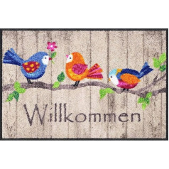 Salonloewe Birds Wood Fußmatte 50 x 75 cm Fußabtreter Türmatte Schmutzfangmatte Vögel bunt Frühling