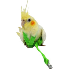 Hearthrousy putnu vads putnu siksna Cockatiel putnu siksna Budgie putnu siksna Aviator Pet putnu papagaiļu siksna Lead putnu virves mācību piederumi 2 m