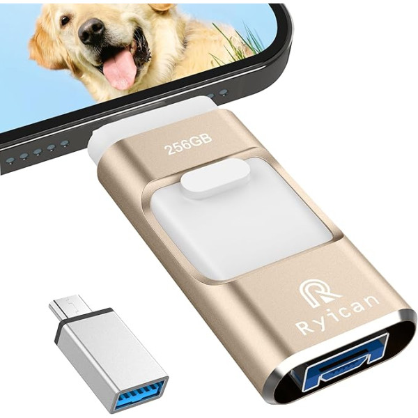 USB zibatmiņas karte tālrunim Ryican 256 GB atmiņas karte iOS ar paroli aizsargātiem failiem 4 in 1 USB 3.0 Photostick Pendrive USB C OTG Android/Laptop/PC/Pad, datu kopēšana ar vienu klikšķi (256G, zelta)