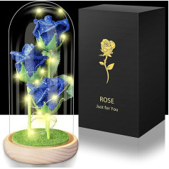 Hemiro Ewige Rose im Glas, Muttertagsgeschenke für Mama, Rose im Glas mit LED in Einer Glaskuppel, Geschenke für Frauen,Mama, Oma,Freundin Blau