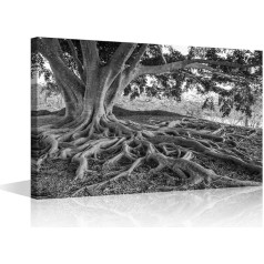 TISHIRON Big Tree Root Wall Art for Living Room Tree Landscape Canvas Wall Art Black and White Modern Wall Art Plakāti un izdrukas Modern Art Works Gatavs pakārt guļamistabai Birojs