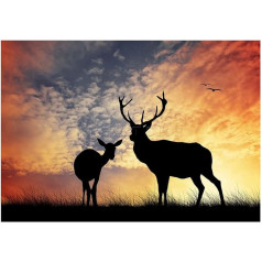 The Art Stop FOTO KOMPOZĪCIJA DEER SILHOUETTE SUNSET SKY STAG FRAMED PRINT PICTURE F12X814