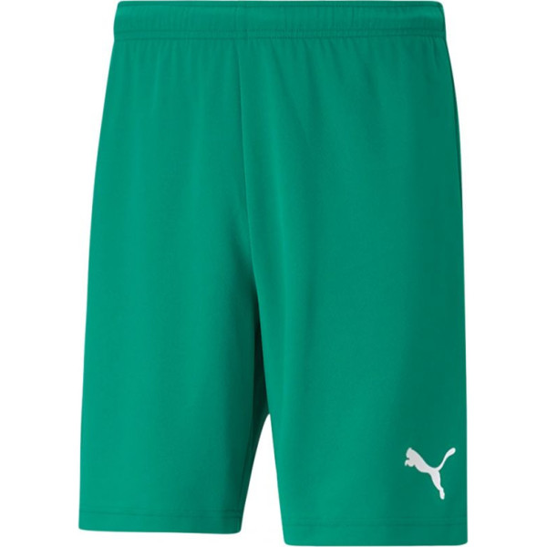 Šorti teamRISE Short M 704942 05 / L