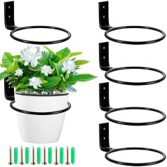 WUWEOT Pack of 6 Wall Mount Flower Pot 10 cm Flower Pot Holder Wall Ring Sienas gredzens Sienas Augi augu turētājs mājas dārzam Balkons melns