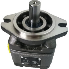 DOLUNTO CP0 Hydraulikölpumpe CP0-10-P-20R CP0-10-P-10R CP0-16-P-10R Innenzahnradpumpe Hochdruckpumpe for Schneidemaschine (Krāsa : CP0-16-P-10R)