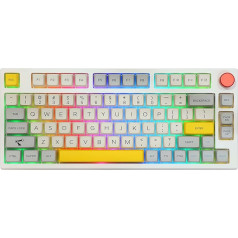 EPOMAKER TH80 Pro mehāniskā spēļu klaviatūra, 2.4GHz/Bluetooth, 75% Hotswap ar RGB PBT taustiņiem WIN/MAC/PS4/PS5/Xbox (Theory, Gateron Pro Yellow)