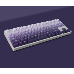 mintcaps PBT Doubleshot taustiņu vāciņi Gradient Purple Backlit OEM profila taustiņu vāciņi Pilns komplekts 123 taustiņi Pielāgotas tastatūras taustiņu vāciņi Cherry Gateron MX slēdziem Mehāniskā tastatūra