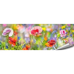 ARTBAY ziedu plakāts HD XXL Panorāmas mākslas druka 118,8 x 42 cm Ziedoša magoņu ziedu pļava saules gaismā dabas plakāts Premium kvalitātes