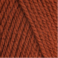 5 x 100g Stylecraft Special DK Double Knit vilnas dzija 5 x 100g Copper 1029