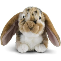 Living Nature AN316 Soft Toy Dutch Lop Ear Rabbit, Gray and Beige, Assorted Color