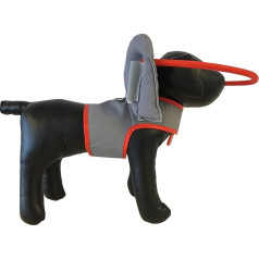 Muffin's Halo It is a ring that protects blind and poorly seeing dogs, helps them guide