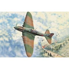 Iljušins il-2 m3 zeme