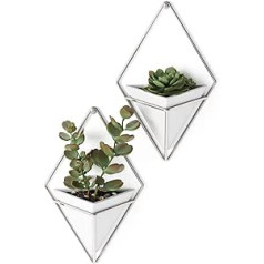 Umbra Trigg Wandvase & Geometrische Deko — Übertopf Für Zimmerpflanzen, Sukkulenten, Luftpflanzen, Kakteen, Kunstpflanzen und Mehr, Weiss/Nickel, 2er-Set, Klein