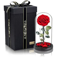 Domestiva® Eternal Rose in Glass - Beautiful Preserved Infinity Rose, Perfect Romantic Gift for Her - Surprise Gift Box for Women - Durable Beauty (Red)