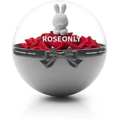 roseonly. Eternal Rose Standup, Preserved Roses Standing Toy, Infinity Red Rose Standing Figurine, Cute Rabbit, Gifts for Women for Birthday, Valentine's Day, Christmas, Mother's Day, Anniversary