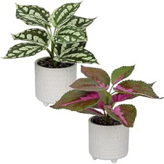 Set of 2 Artificial Plants, Decorative Artificial Plants, Small Plants in Ceramic Pot, Artificial Plant Decoration, Modern for Home, Office, Bathroom, Kitchen and Interior Decoration