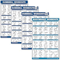 Palace Learning 4 komplekts — hanteles treniņu plakāti, 1., 2. un 3. sējums + ķermeņa svara vingrinājumu diagramma — 4 plakātu komplekts (lamināts, 18 x 24 collas)