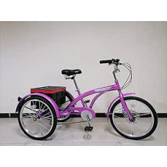 SCOUT 20 Inch Medium Trike, 6 Speed, Teens Tricycle, Adult Tricycle, Children's Tricycle