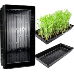 QTUN Pack of 5 Propagation Plates, Pot Plate, Plastic Plant Bowl, Reusable Germination Trays without Holes, Greenhouse Propagation Tray for Plants, Herbs, Flowers, Vegetables and Fruit