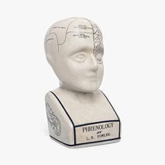 Įvairios kolekcijos ACL Frenologijos galvutė – Keraminis ornamentas – Kolekcionuojamas retro biustas – Glazūruota apdaila – Akį traukiantis – Daktaro stalas – LN Fowler – Smegenų jutimai 28cm