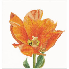 Thea Gouverneur - Izšūšanas komplekts krustdūrienam - Orange Triuph Tulip - Lins - 32 Count - Pieaugušajiem - 523