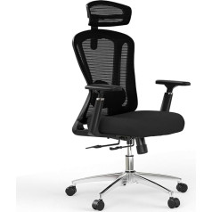 Farini Ergonomic Computer Chair with Adjustable Headrest and Lumbar Support, Breathable Mesh Chair, Black