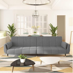 Utsrabfa Couch Living Landscape Lounge Set Sofa Bed 2-Seater with 2 Cushions Light Grey Velvet Suitable for Halls, Banquets, Entertaining Rooms, Cabins