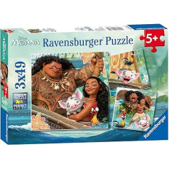 Ravensburger - Rotaļīgais Findus