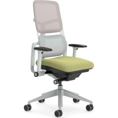 Steelcase Please Air ergonomisks, regulējama augstuma biroja grozāms krēsls, regulējami roku balsti, elpojošs tīklveida atzveltne (Seagull Grey), ērts sēdekļa polsterējums (krāsa Sprout)