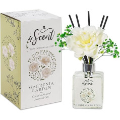 4SCENT Gardenia Garden mājas smaržu difuzoru komplekts ar konservētu ģipsofilu un mākslīgo gardēniju mājas smaržai un dekorēšanai, aromterapijai ar ēteriskajām eļļām un niedru kociņiem