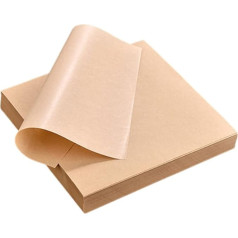 PRETYZOOM 500 Sheets Oil Absorbing Paper Frying Basket Butcher Paper for Sublimation Squares Made of Parchment Paper Party Supplies Paper Insert for Tray Disposable Food Basket