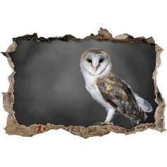 Pixxprint 3D_WD_5284_92x62 Wonderful Barn Owl Wall Breakthrough 3D Wall Sticker Vinyl Black / White 92 x 62 x 0.02 cm