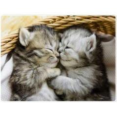 YISUMEI Sega 125 x 150 cm Cuddly Blankets Soft Flannel Soft Fleece Blanket Bed Throw One Pair Cute Cats