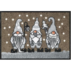 Wash+Dry Durvju paklājs Winter Dwarfs Taupe 40 x 60 cm izmantošanai iekštelpās un ārpus telpām