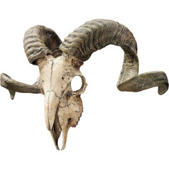 Design Toscano CL3377 Corsican Ram Skull and Horns Wall Trophy